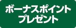 ボーナスポイントプレゼント