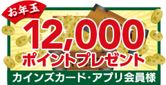 12,000ポイントプレゼント