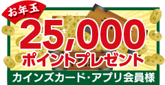 25,000ポイントプレゼント