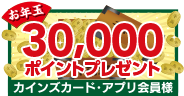 30,000ポイントプレゼント