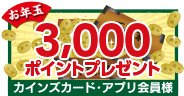 3,000ポイントプレゼント