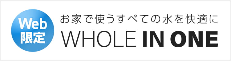 WHOLE IN ONE